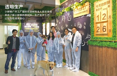 公司产品手册Ⅱ 书装与画册的平面设计艺术